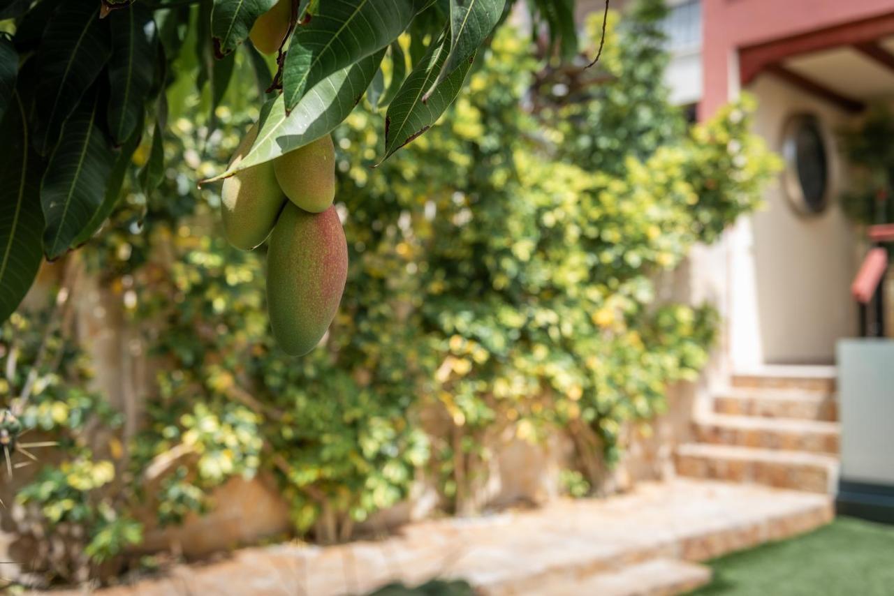 Comfortable 4-Bedroom Villa With Private Gardens Costa Adeje  Esterno foto
